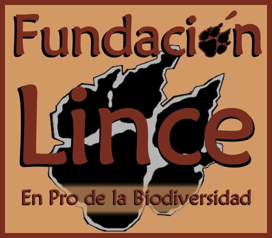 Fundacion Lince - Conservacion de la Biodiversidad en Mexico