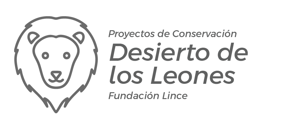 Logo Desierto
